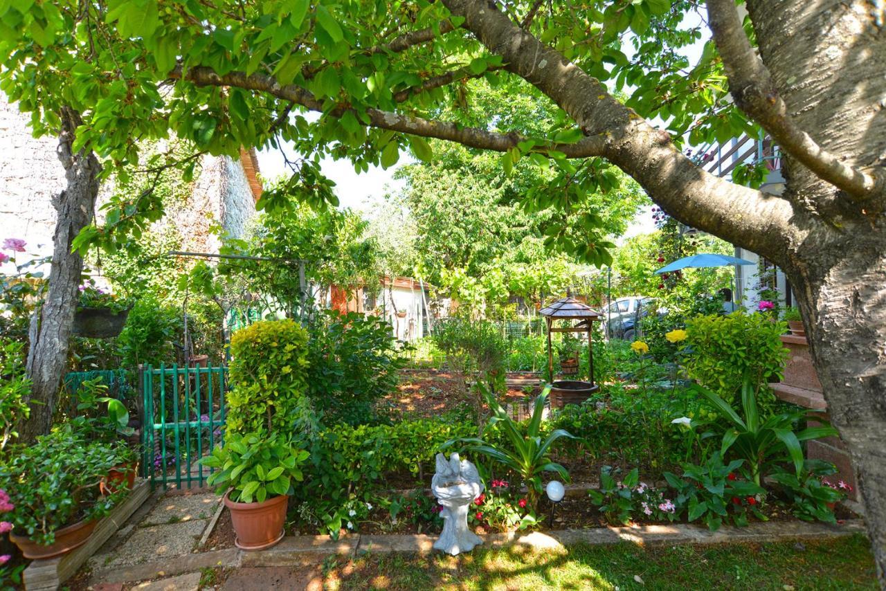 Apartment Danica 358 Porec Esterno foto
